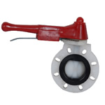 Plastic Butterfly Valve