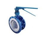 PTFE Lined Butterfly Valve