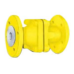 PTFE Lined Non Return Valve